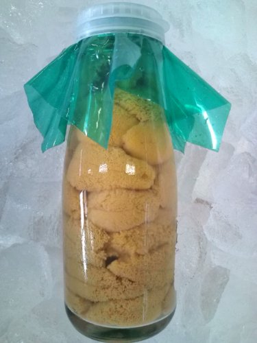三陸復興【生うに】◆三陸産◆ビン入150g◆無添加