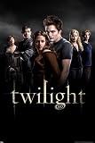 Twilight Movie (Group) Poster Print - 24" X 36"