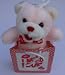 I Need Love Bag Teddy Bear Pink - stuffed animal - Limited Edition