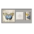 Butterfly Fringe Studio Tray Votive and Soap Set in Gift Box