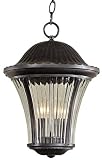 Amarante Heritage 16 3/4 High Hanging Outdoor Light