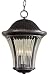 Amarante Heritage 16 3/4 High Hanging Outdoor Light