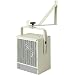 Dimplex DGWH4031 4000-Watt Garage/Workshop Heater