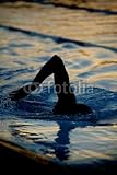 Wallmonkeys Peel and Stick Wall Decals - Silhouetted Swimmer 3 - 36H x 24W Removable Graphic