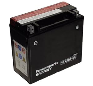 Amazon.com: YTX20L-BS 20L-BS Powersports Battery Maintenance Free 12V ...