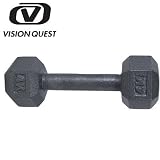 VISION QUEST�ʥӥ���󥯥����ȡ� ϻ�ѥ���٥� 4kg VQDB12
