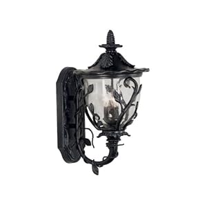 Kenroy Home 70202EP Meadow Medium Wall Lantern with Clear Seeded Glass Shade, Ebony Pearl by Kenroy Home