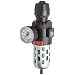 Dixon CB6-04AG Automatic Drain Wilkerson Compact Filter/Regulator with Transparent Bowl and Guard, 1/2" Size, 70 SCFM Flow, 150 psig Pressure