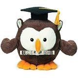 Have a Hoot with This Loot - Plush Owl Graduate Money Holder