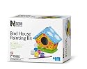 Natural History Museum - Bird House Painting Kit