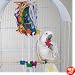 BERSERK - Brainy Bird Wild Series Toys