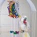 Pet Supplies : BERSERK - Brainy Bird Wild Series Toys
