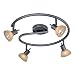 Circular Spotlight Kit in Dark Bronze Finish: Dark Bronze