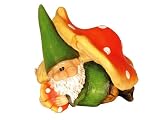 Review Solus Garden and Leisure Ltd  / WOODLAND WILF PLAYS HIDE AND SEEK