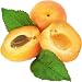 apricot flavor extract