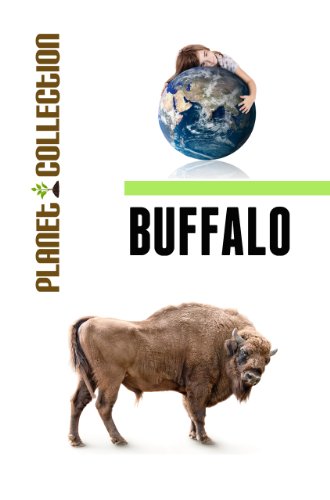 Buffalo: Picture Book (Educational Children's Books Collection) - Level 2 (Planet Collection)