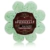 Spongelle Spongelle Hot Spice Ginger Infusion
