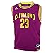 Lebron James Cleveland Cavaliers Youth Replica Jersey