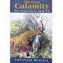 This Great Calamity: The Irish Famine 1845-52