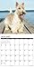 2016 Just Scotties Wall Calendar