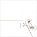 CD - Pariatize von Pariah