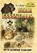 The Callmasters BEAR ESSENTIALS DVD calling & hunting black bears