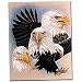 Bald Eagle Polar Fleece Nature Lover Throw Blanket Bald Eagle Polar Fleece Nature Lover Throw Blanket