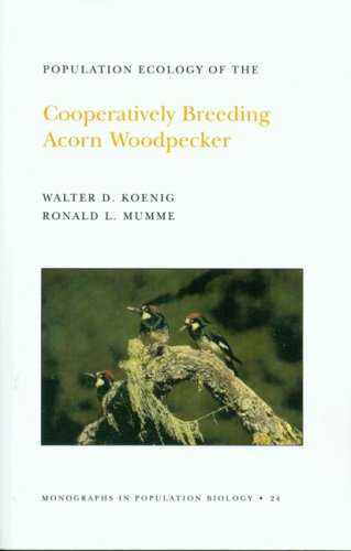 Population Ecology of the Cooperatively Breeding Acorn Woodpecker (Monographs in Population Biology) under Population Biology in The Books Store