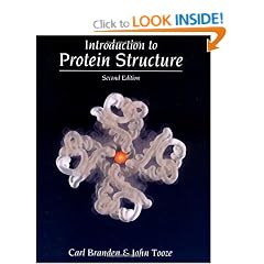 Introduction to Protein Structure