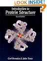 Introduction to Protein Structure