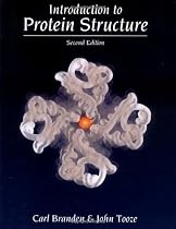 Introduction to Protein Structure