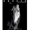 Beautiful books . . on horses !