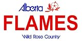 Alberta Canada Province Background License plate