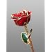 Long Stem Dipped 24k Gold Trim Red Rose In Gold Gift Box