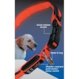 NITE DAWG LED Light Up Dog Collar - Orange - MEDIUM - Electronics - Other