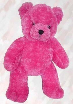 41nfAYlfy%2BL Teenie Teddies Pink Bear 7   Make Your Own Stuffed Animal Kit