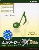 �������᡼����FX Pro �����ǥߥå�