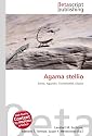 Agama stellio: Echse, Agamen, Trommelfell, Kloake