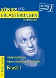 K&ouml;nigs Erl&auml;uterungen und Materialien, Bd.21, Faust I - Johann Wolfgang von Goethe