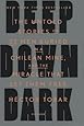 Deep Down Dark: The Untold Stories of 33 Men Buried in a Chilean Mine, and the Miracle That Set Them Free