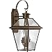 Progress Lighting P6616-20 Burlington Two-Light Med Wall Lantern, Oil Rubbed Bronze