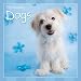 RACHAEL HALE DOGS  2010 CALENDAR