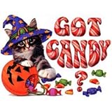 Halloween Kitten Youth T-Shirt : Got Candy?
