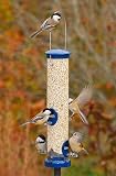 Seed Tube Medium Blue