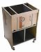Bench Dog 40-110 ProCabinet Router Table