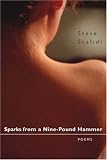 Sparks from a Nine-Pound Hammer: Poems (Southern Messenger Poets)