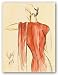 Red Dress II by Tara Gamel 9"x12" Art Print Poster