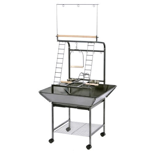 Small Parrot Playpen Stand