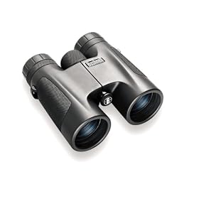 Click here to buy Bushnell 8 x 42 Powerview Roof Prism Binocular by Bushnell.