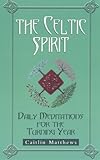 The Celtic spirit : daily meditations for the turning year